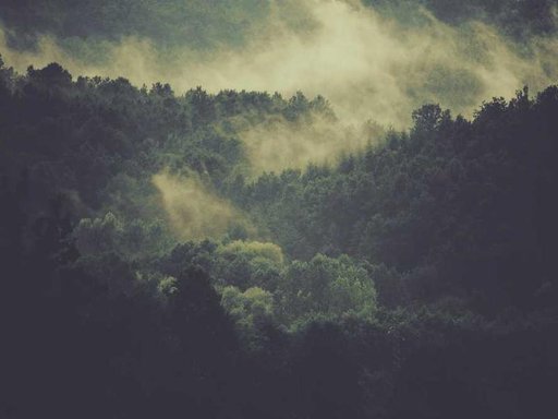 Оренда 1 кімнатного будинку по вулиця Академіка Заболотного 24