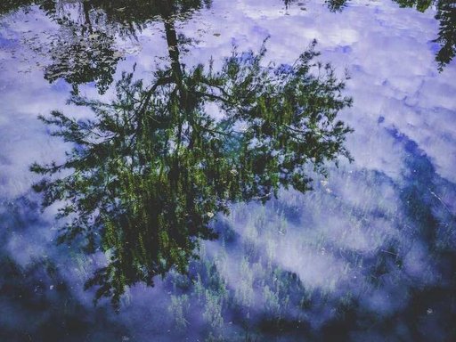 Оренда 1 кімнатного будинку по вулиця Олени Теліги 1-А