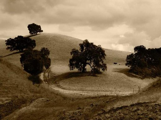 Оренда 3 кімнатного будинку по проспект Георгія Нарбута 3