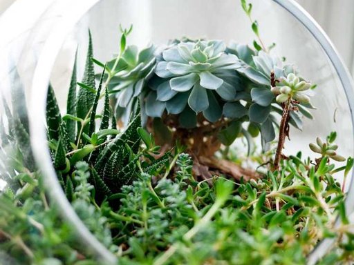 Оренда 1 кімнатного будинку по проспект Соборності 17 к2