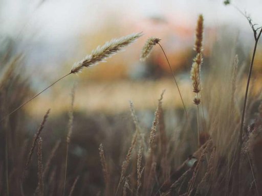 Оренда 3 кімнатного будинку по провулок Павла Грабовського 56/3