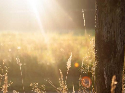 Оренда 2 кімнатного будинку по проспект Павла Тичини 12-А