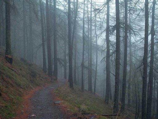 Оренда 2 кімнатного будинку по вулиця Федьковича 2/1