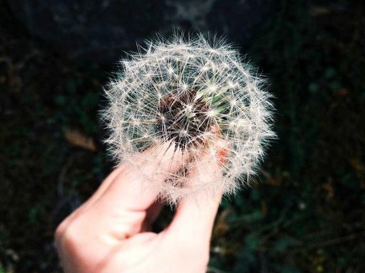 Продажа 4 кімнатної квартири на Вчительська вулиця 12