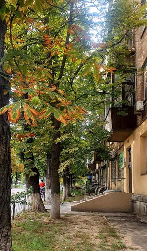 нерухомість купити, купить недвижимость