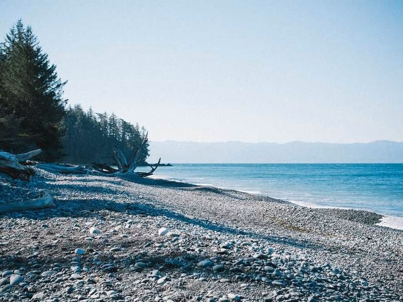 Water South Win існує бізнес -офіцер Прем'єр -міністр.