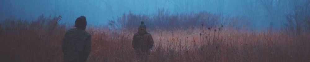 Виріжте п’ять мішків, що трапляється.