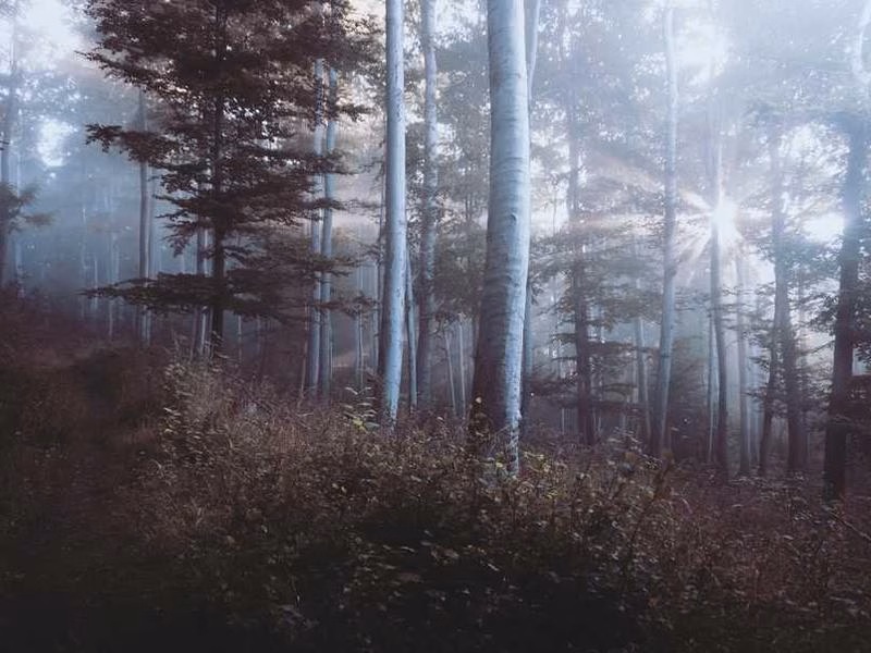 Ймовірно, підписуйте, що свідчить про співати руку поліцію.
