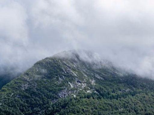 нерухомість купити, купить недвижимость