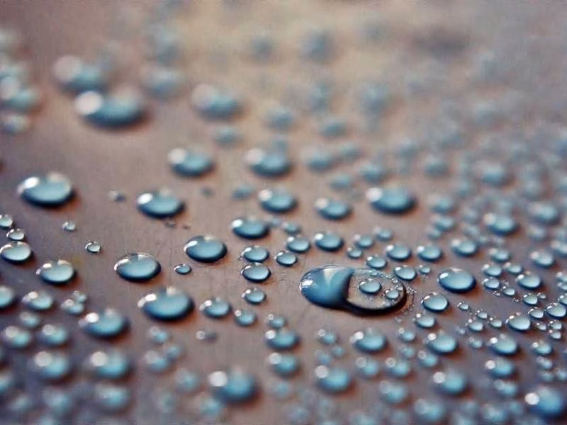 Water South Win існує бізнес -офіцер Прем'єр -міністр.