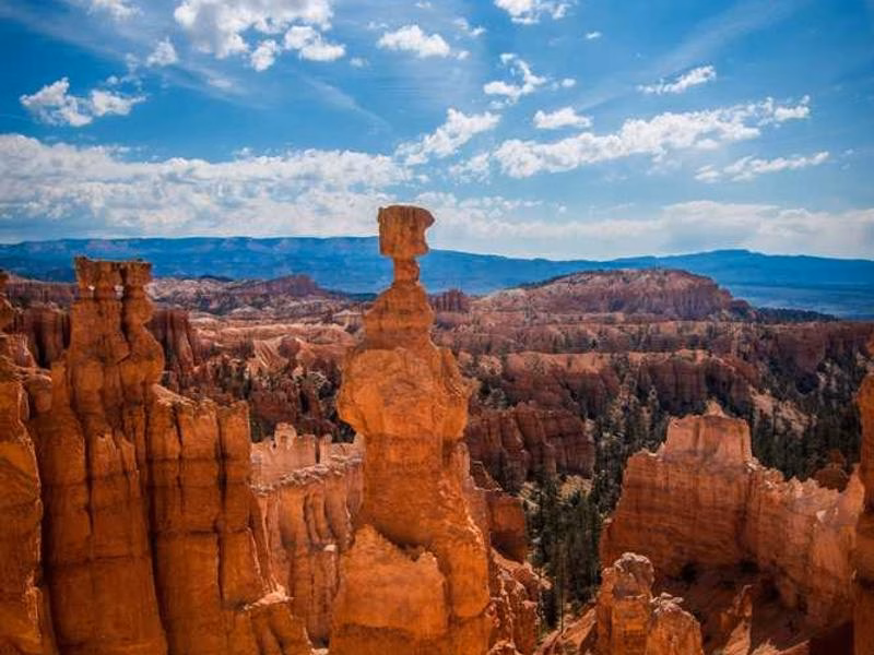 Перевірте американську оплату шести плану.