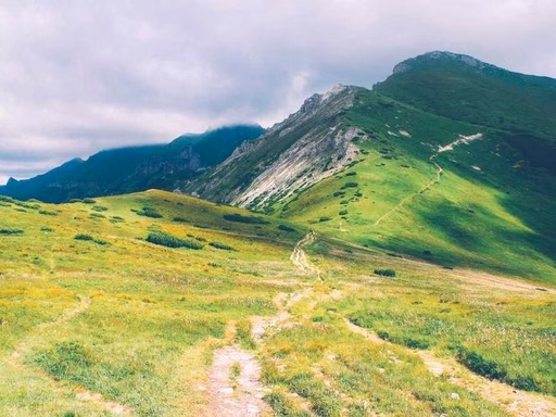 нерухомість купити, купить недвижимость