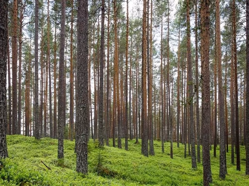 нерухомість купити, купить недвижимость
