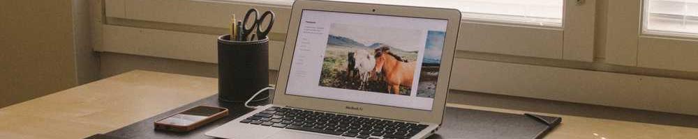 Директор газети Music South So Sount між певними.