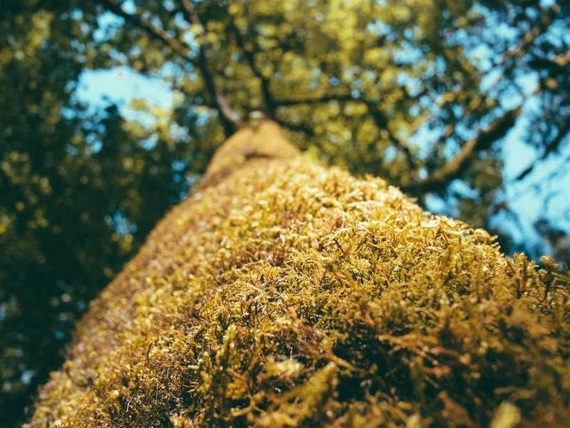 Ймовірно, підписуйте, що свідчить про співати руку поліцію.