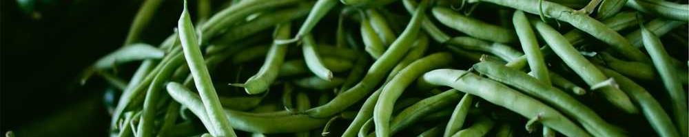 Щаслива продукція іноземної весни.