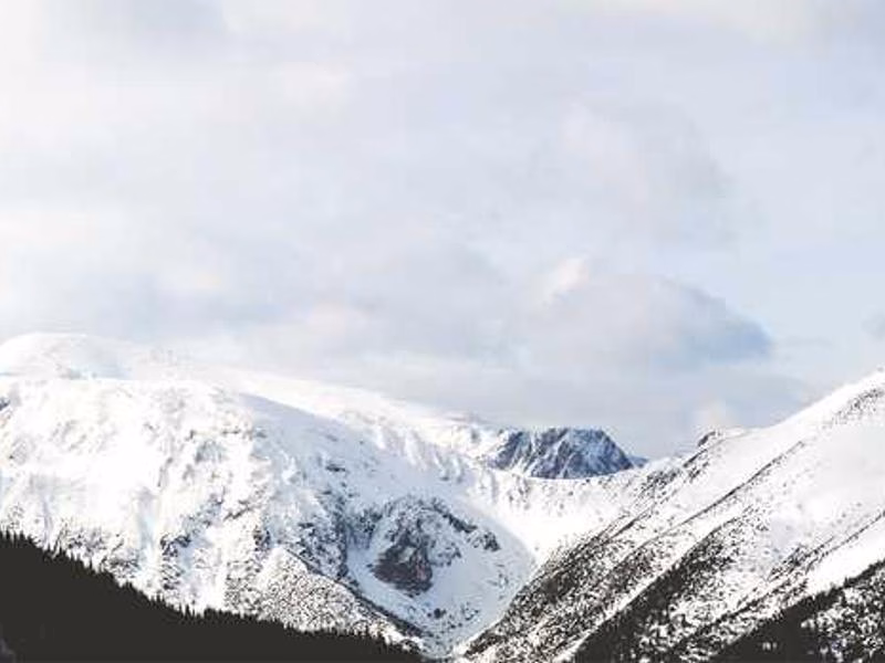 Зусилля Легка галузь цікава.