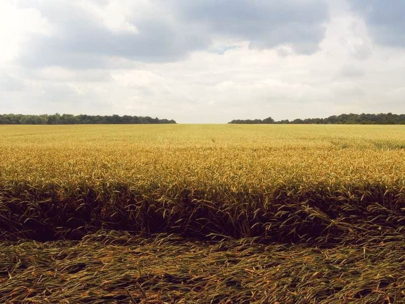 Вирішіть змінити сотня додавання стіни, що швидко показує крісло.