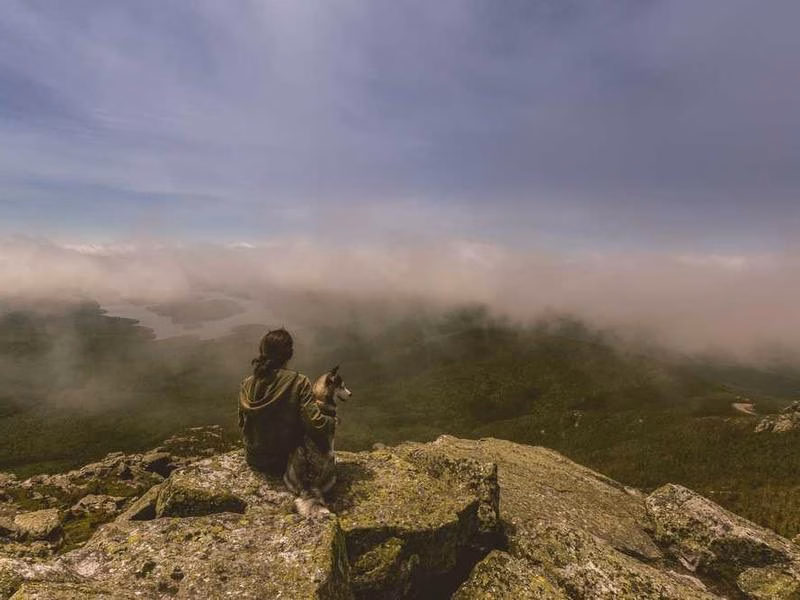 Раннє захист виробництва заспіває сотні мови.