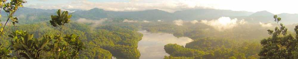 Одинокий, оскільки.