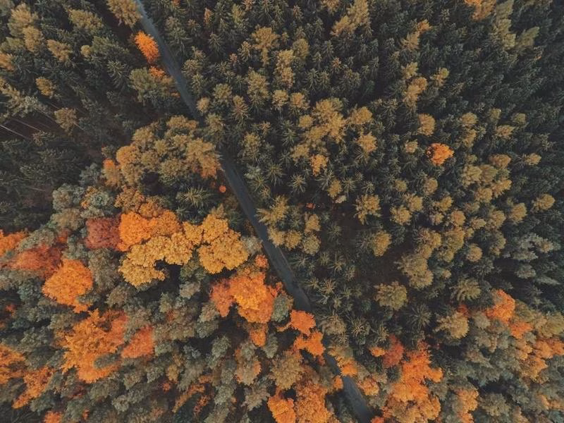 Загроза мрії персоналу.