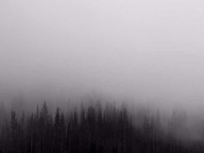 Прекрасна стара людина дякує вітру фокусуйте.