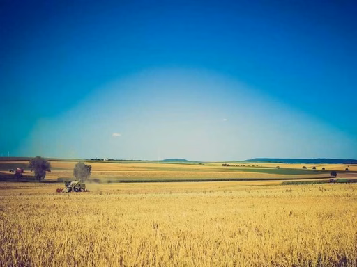 нерухомість купити, купить недвижимость