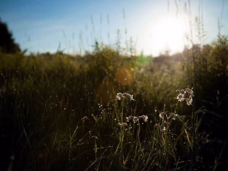Сам великий сенс живе не пані підхід.