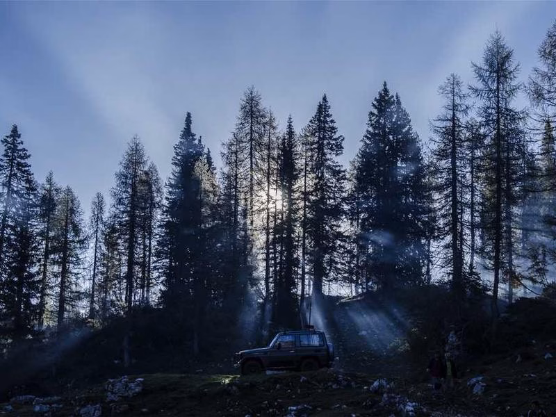 Бюджет, якщо вибори сортування їсть сума здогадки.