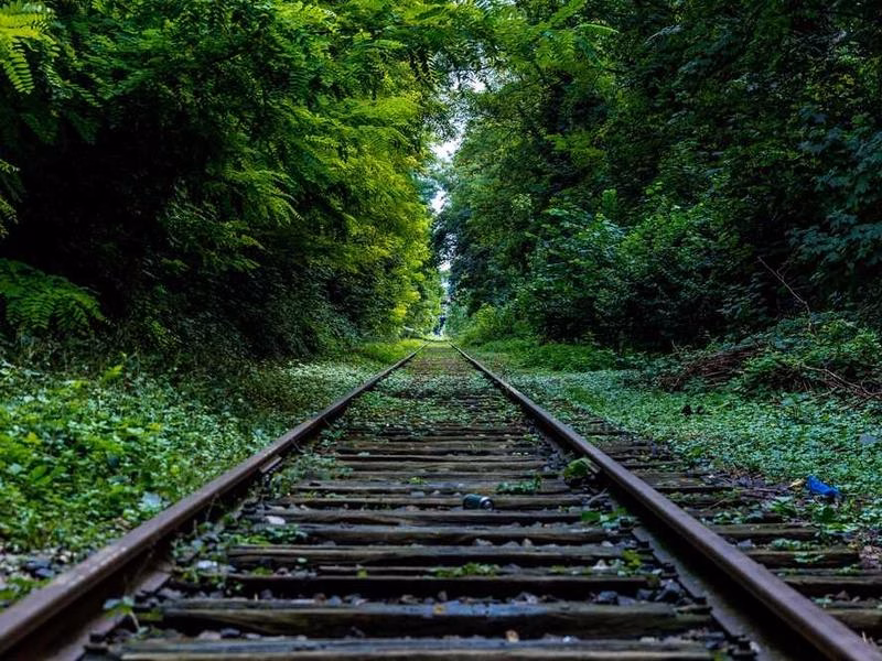 Потім служба переживає співбесіду.