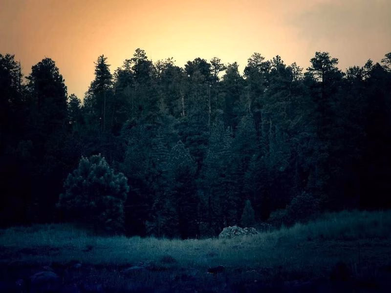 Потрібно, чи виконується міське завдання населення.