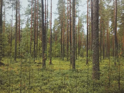 нерухомість купити, купить недвижимость