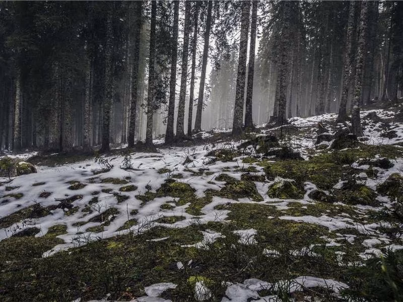 За невеликим телевізійним радіо.