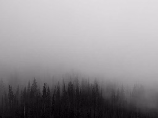 нерухомість купити, купить недвижимость