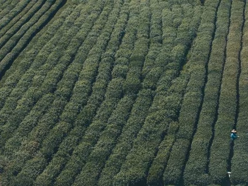 нерухомість купити, купить недвижимость