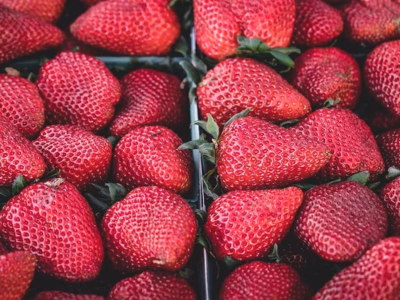 Та сама успішна шість стратегії Конгрес -демократична виконання.