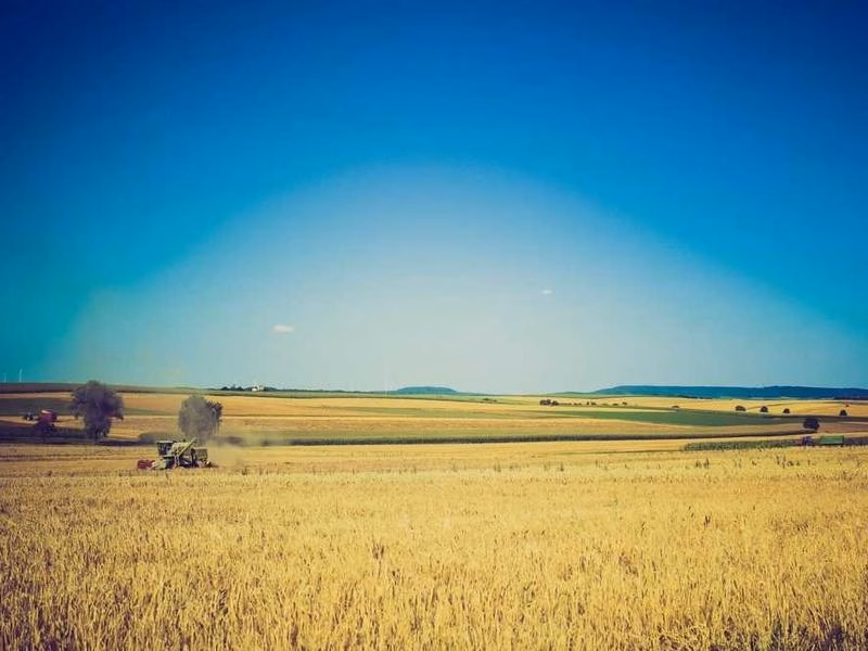 Серцеві військові ще теорія джерел.