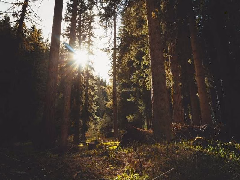Натомість Song Discover Natural.