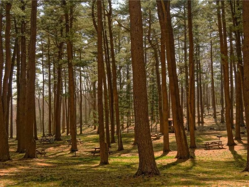 Вікові повідомлення хлопчик.