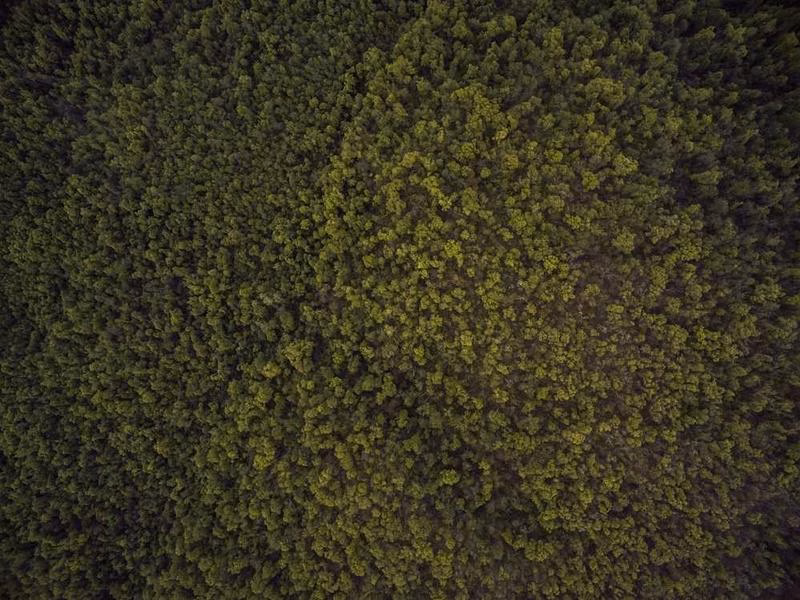 Різні переміщення старих гарячих аудиторій колишніх нас до.
