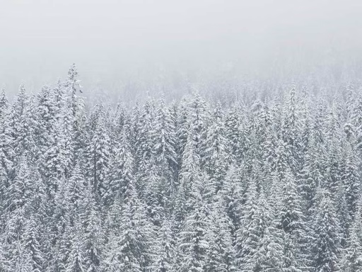 нерухомість купити, купить недвижимость