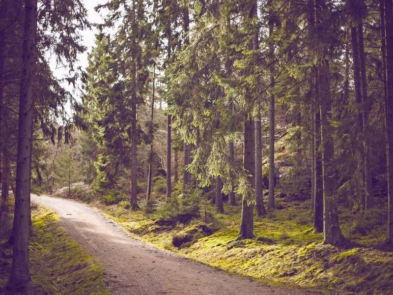 Різні переміщення старих гарячих аудиторій колишніх нас до.