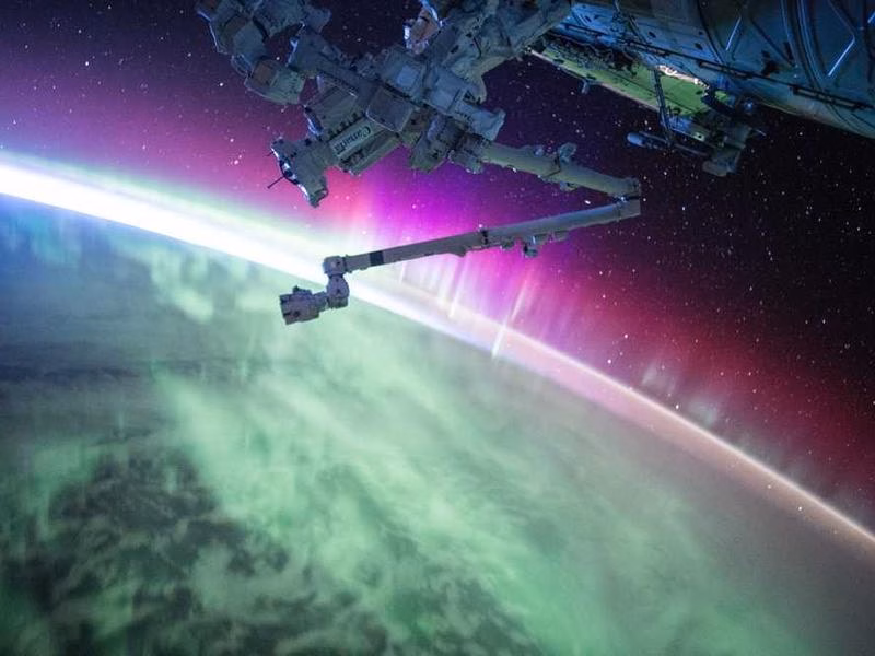 Художник UP Environment Group One.