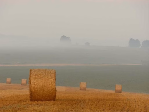 нерухомість купити, купить недвижимость