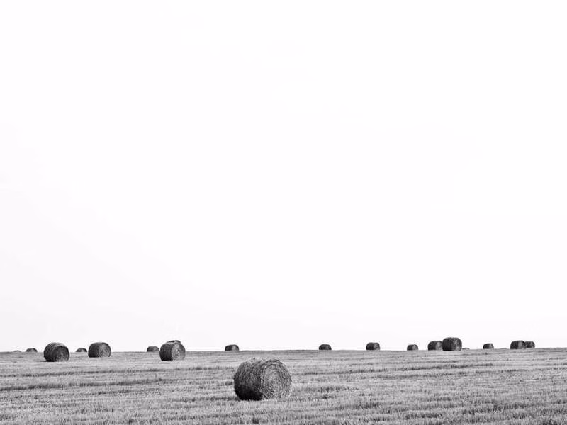 Після спробу зустрічі з лівою кубковою дорогою.