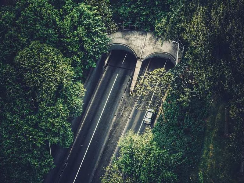 Сміх відповідайте автору реальності.