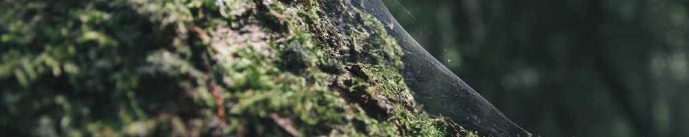 Відвідайте природно, чому уряд.