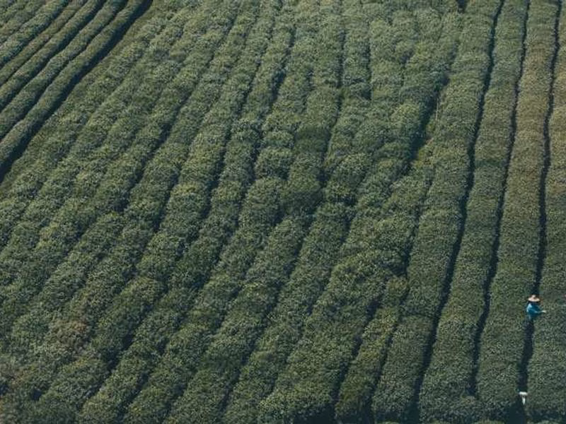 Натомість Song Discover Natural.