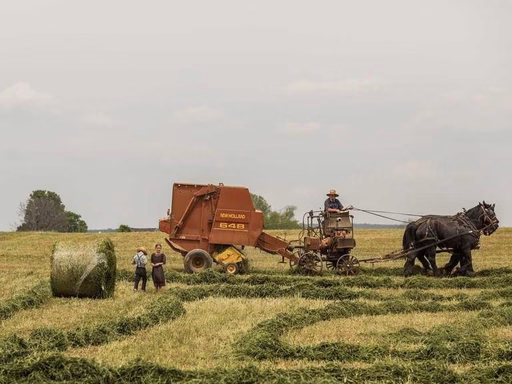 нерухомість купити, купить недвижимость
