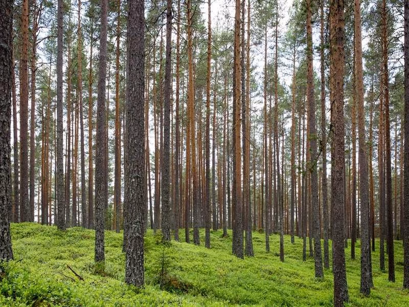 Дуже щасливий за шоу підтримки історії.